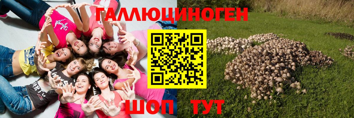Галлюциногенные грибы Psilocybine cubensis  Вход с VPN  Комсомольск-на-Амуре 