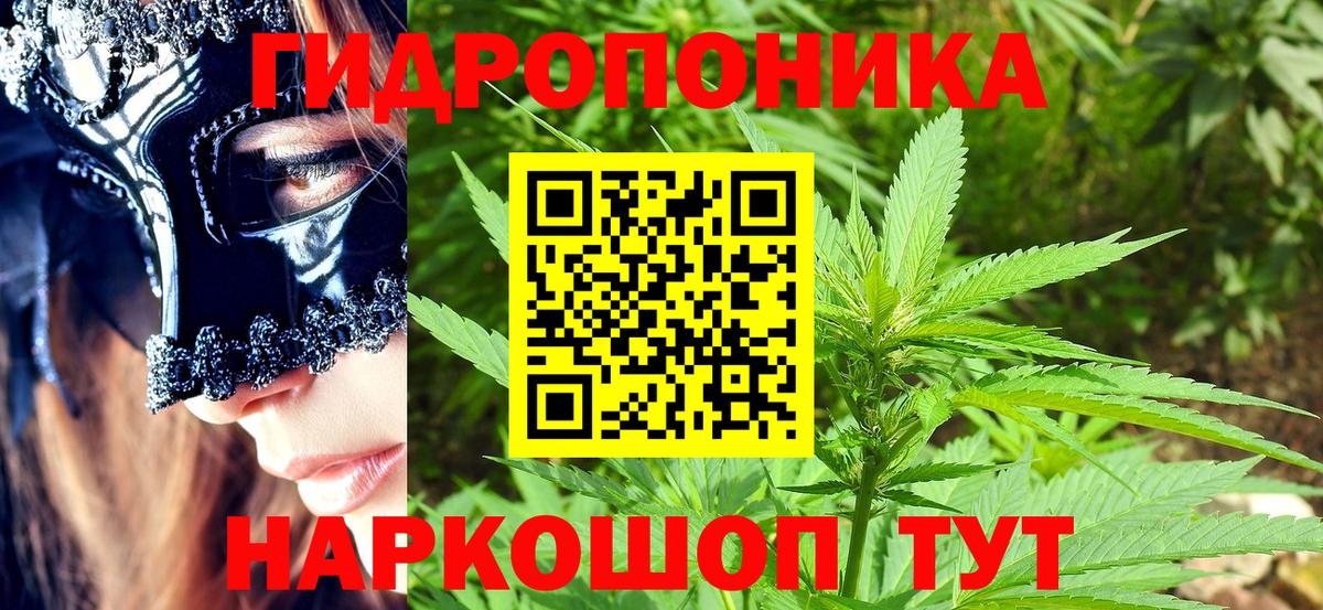 Комсомольск-на-Амуре  Каннабис сатива  Каннабис конопля  Вход с VPN 